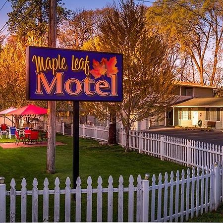 Maple Leaf Motel Shady Cove Bagian luar foto