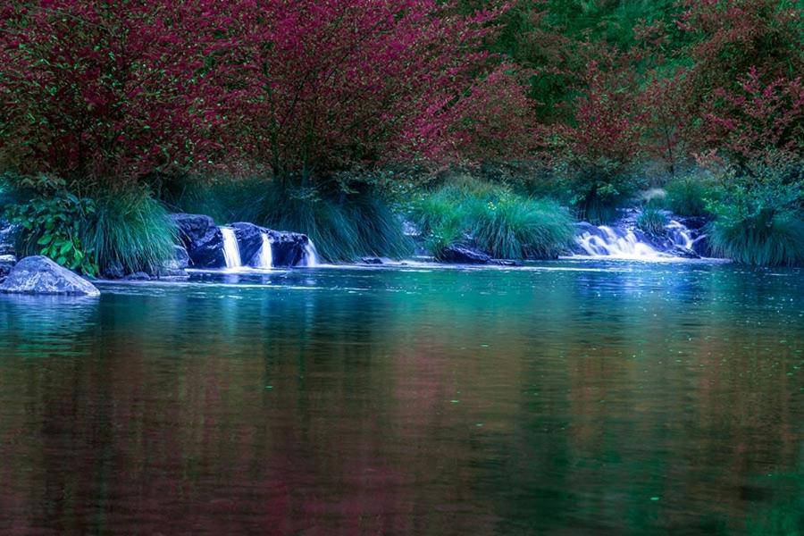 Maple Leaf Motel Shady Cove Bagian luar foto