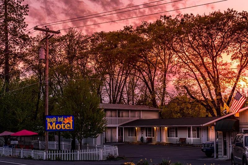 Maple Leaf Motel Shady Cove Bagian luar foto
